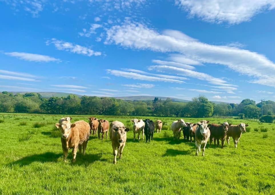 GortinMill Farm Retreat别墅 外观 照片